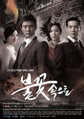 青岛网站优化方案公司